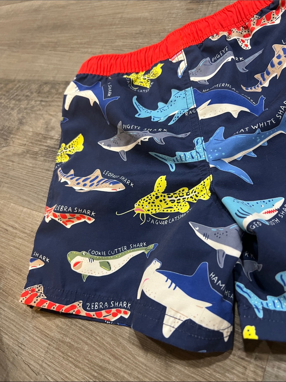 Mini Boden shark swim trunks size 6-7 - Picture 6 of 9